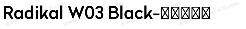 Radikal W03 Black字体转换